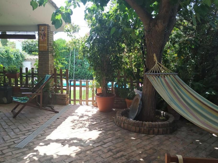 Dormir Entre Limones, Casa De Invitados En Vivienda Familiar Dos Hermanas Buitenkant foto