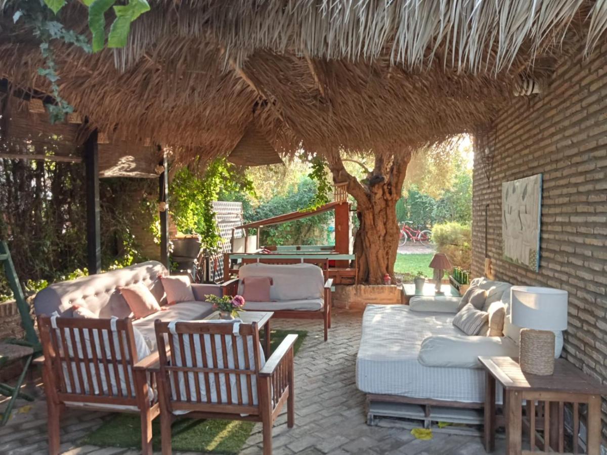 Dormir Entre Limones, Casa De Invitados En Vivienda Familiar Dos Hermanas Buitenkant foto